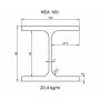 Delftechniek BALKSTAAL HEA<BR/>LENGTE IS +/- 6.10 METER<BR/>HEA100 HEA100
