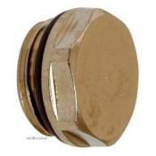 Delftechniek Radiatorplug blind 1/2" BUI.DRAAD