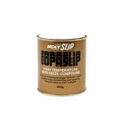 Molyslip Montagepasta 500gr Impa 450635 Issa 5305025
