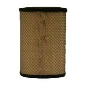 Fleetguard Lucht filter AF25539