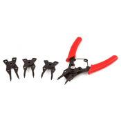 Seegerringtang/borgveertang 5 Dlg