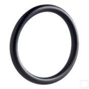 - O-Ring VITON 75