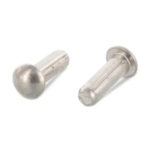 - Bolkop Kerfnagels Rvs A2 2,9X8MM