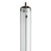 Lamp 20W/33 TL-X KL640