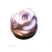 Delftechniek Radiatorplug met ontluchter 1/2" BUI.DRAAD