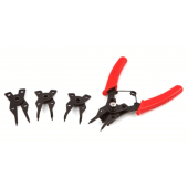 Seegerringtang/borgveertang 5 Dlg